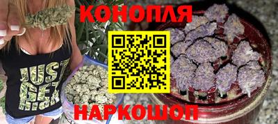 гидра Нальчик