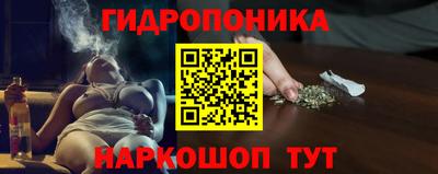 гидра Нальчик