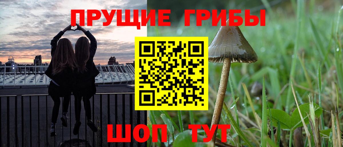 Псилоцибиновые грибы мицелий Троицк